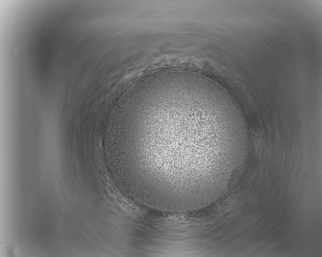 X0000058141489200510072017