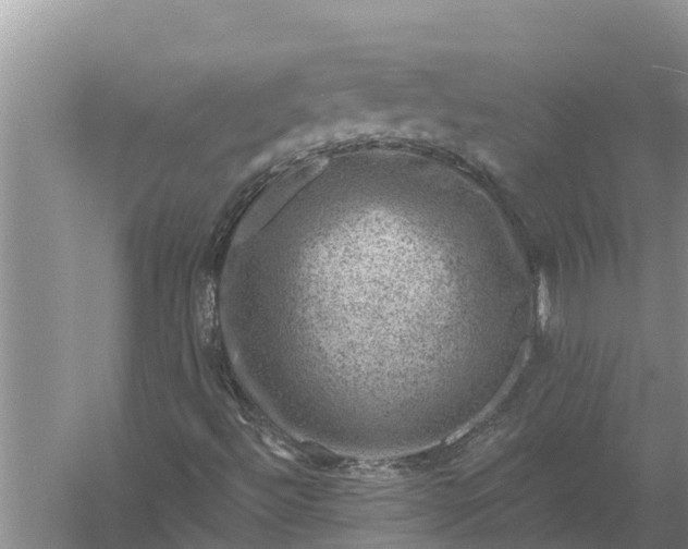 X0000058141492200510072017