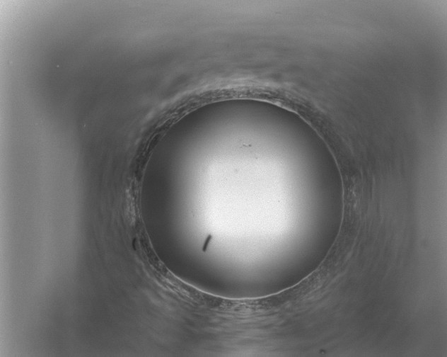 X0000058141493200510072017