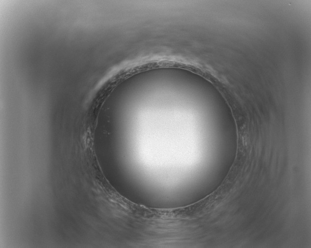 X0000058141495200510072017