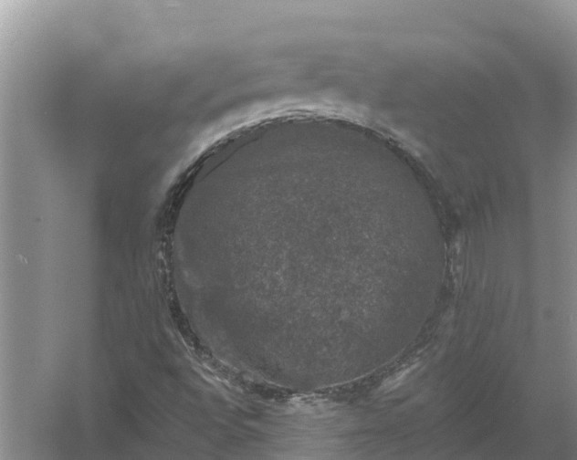 X0000058141496200510072017