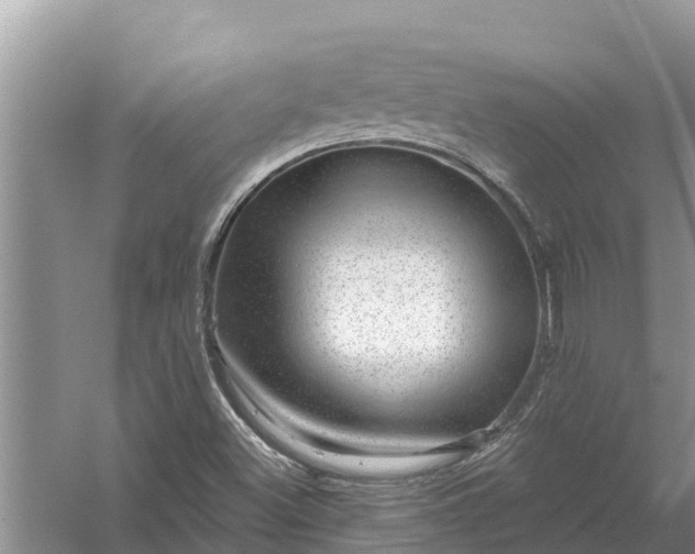 X0000058141500200510072017