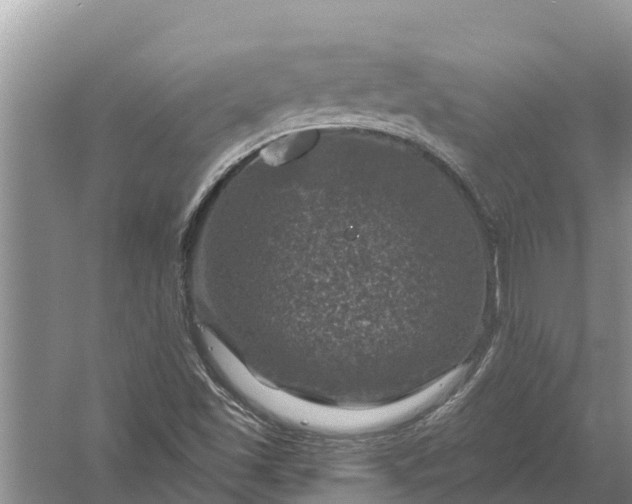 X0000058141501200510072018