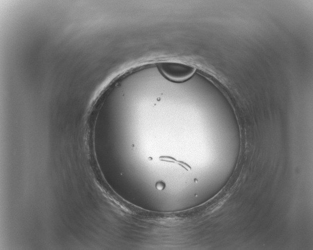 X0000058141502200510072018