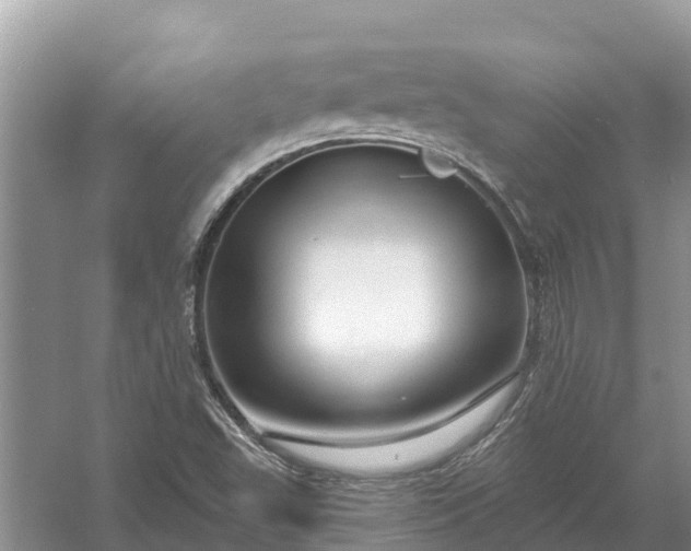 X0000058141503200510072018