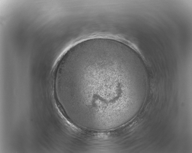 X0000058141504200510072018