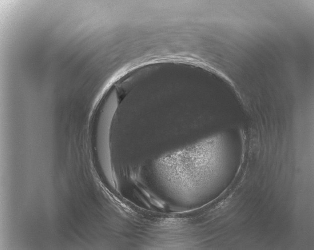 X0000058141506200510072018