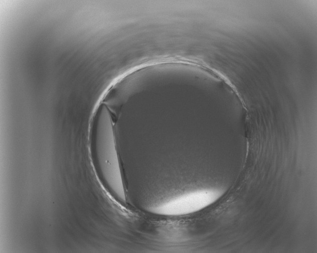 X0000058141508200510072018