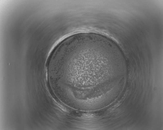 X0000058141509200510072018