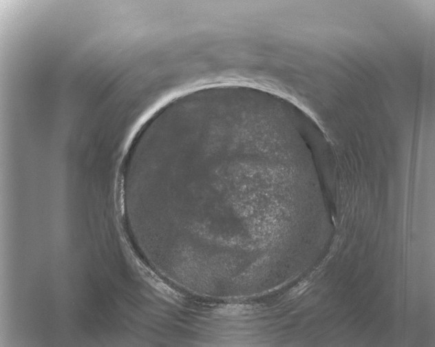 X0000058141510200510072018