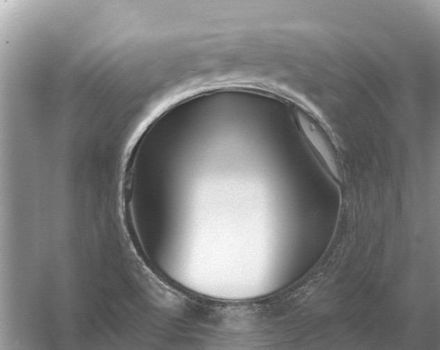 X0000058141512200510072018