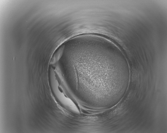 X0000058141513200510072018