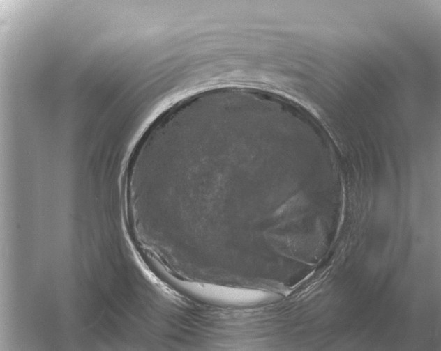 X0000058141515200510072018