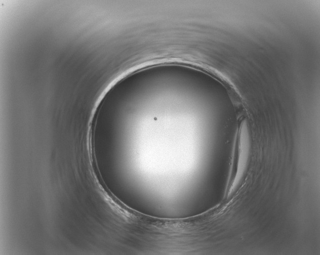 X0000058141516200510072018