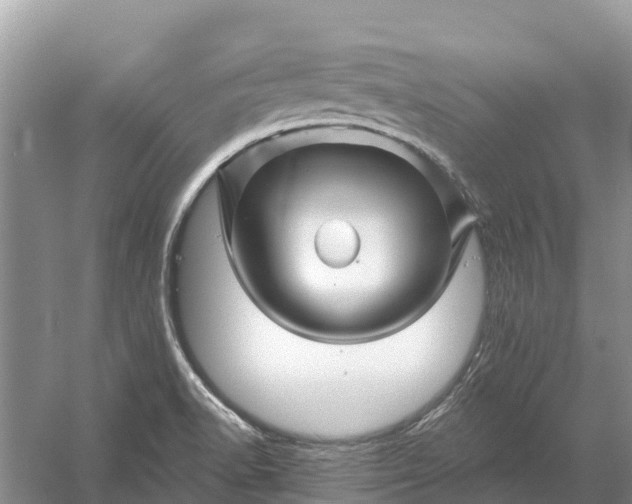 X0000058141518200510072018