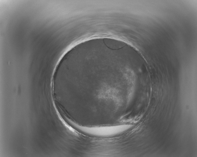 X0000058141519200510072018