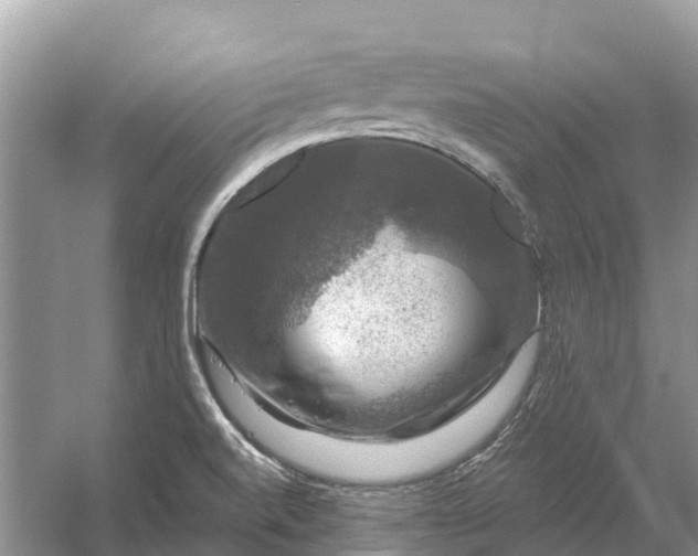 X0000058141520200510072018