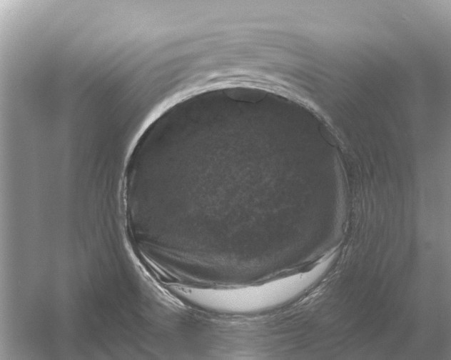 X0000058141522200510072018