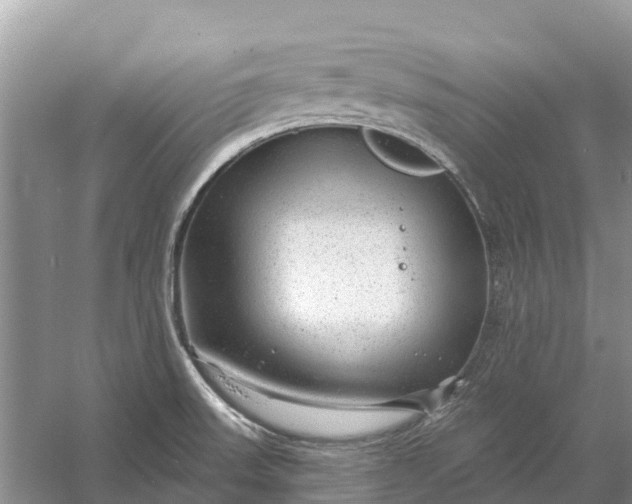 X0000058141523200510072018