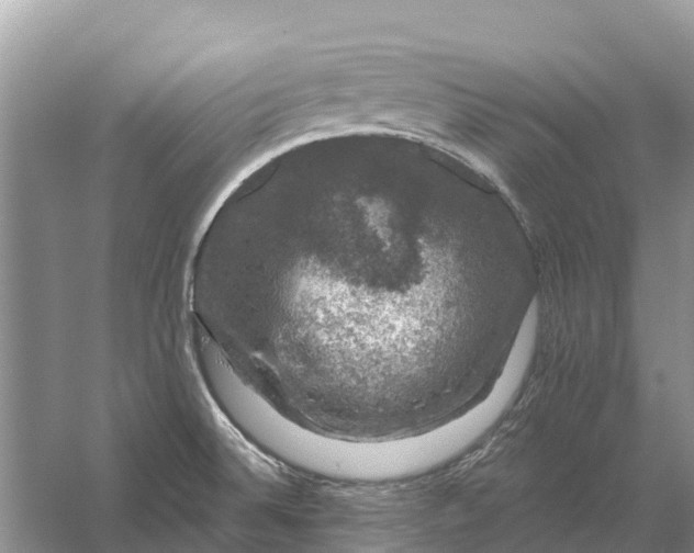 X0000058141524200510072018