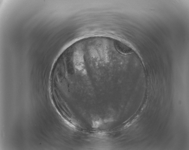 X0000058141525200510072018