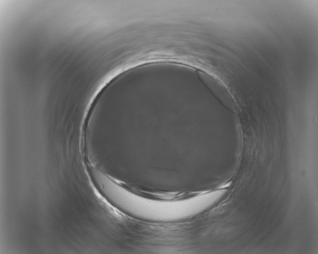 X0000058141527200510072018