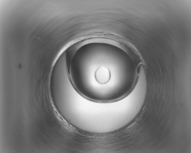 X0000058141530200510072018