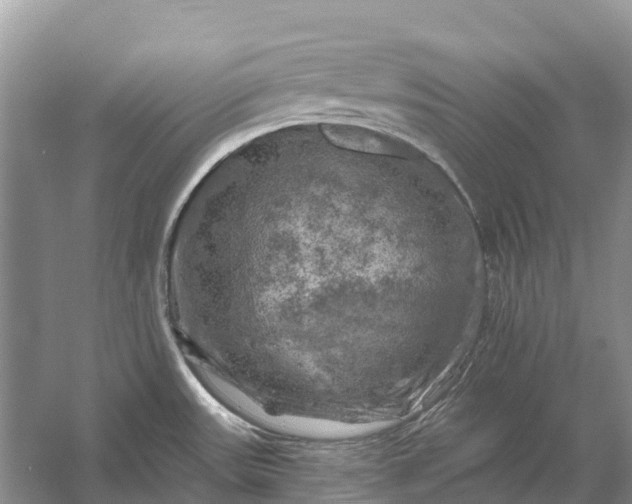 X0000058141531200510072018