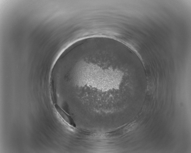 X0000058141532200510072018