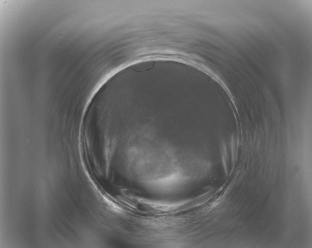 X0000058141533200510072018