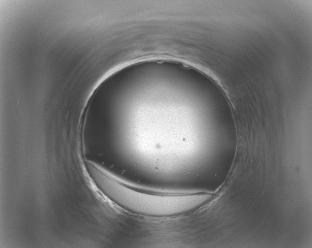 X0000058141534200510072018