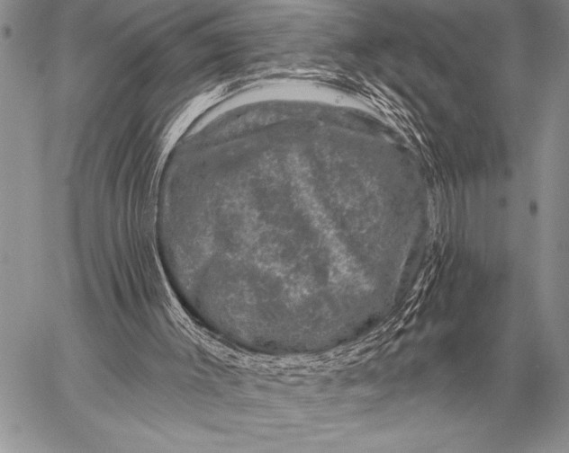 X0000058140003200510171414