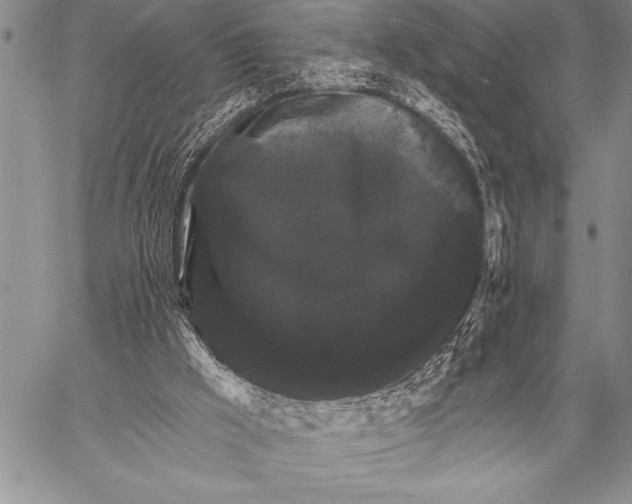 X0000058140009200510171414