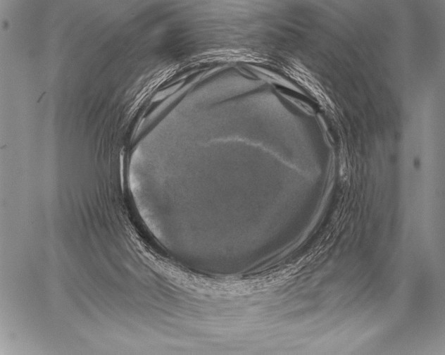 X0000058140014200510171414