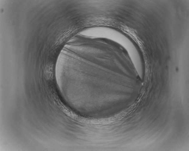 X0000058140017200510171414