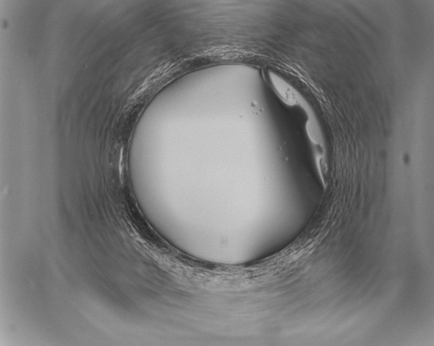 X0000058140024200510171414