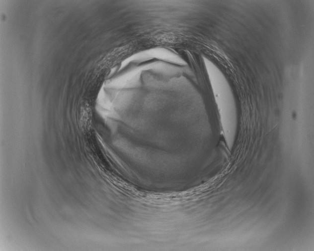 X0000058140029200510171414