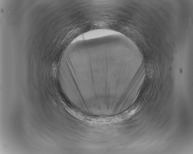 X0000058140036200510171414