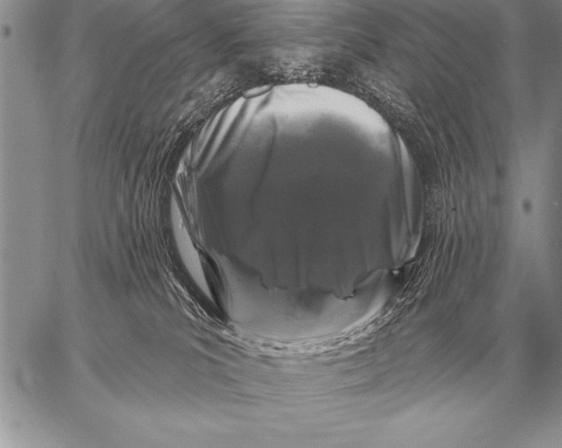 X0000058140039200510171414