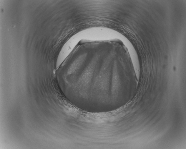 X0000058140041200510171414