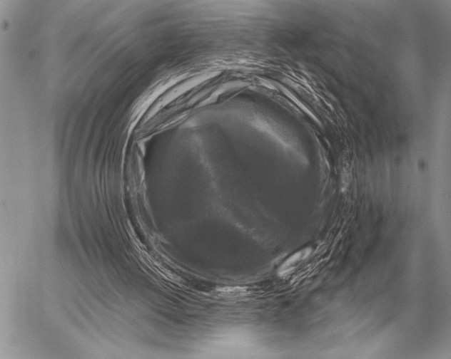 X0000058140052200510171413