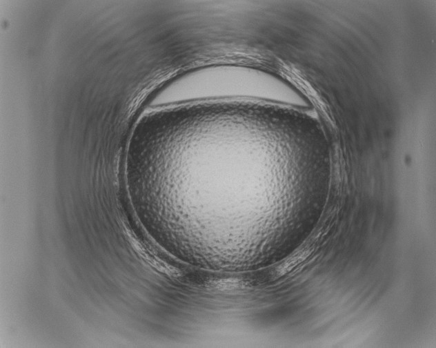 X0000058140058200510171413
