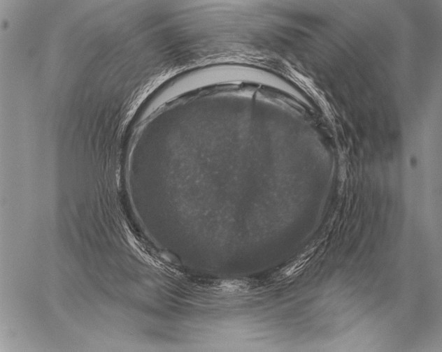 X0000058140060200510171413