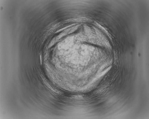 X0000058140061200510171413