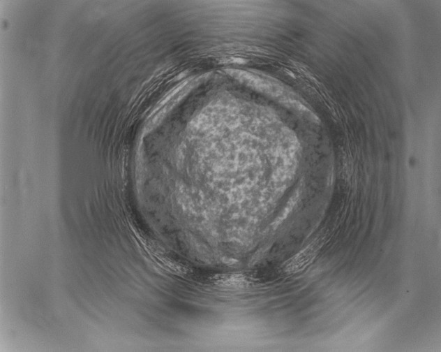 X0000058140074200510171413