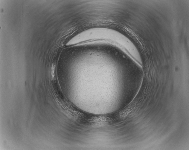 X0000058140075200510171413