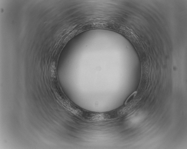 X0000058140083200510171413