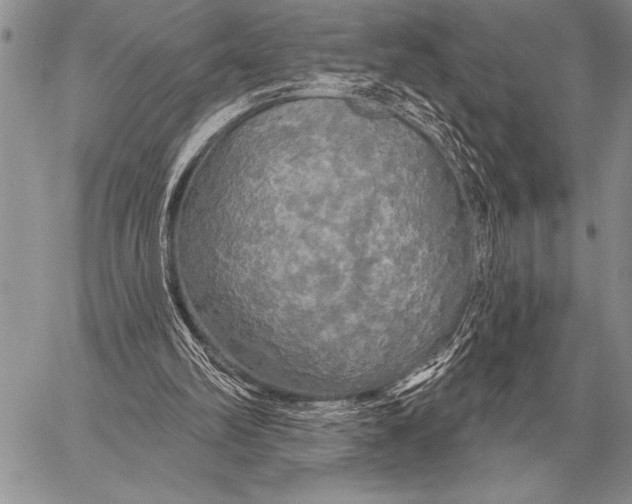 X0000058140102200510171413