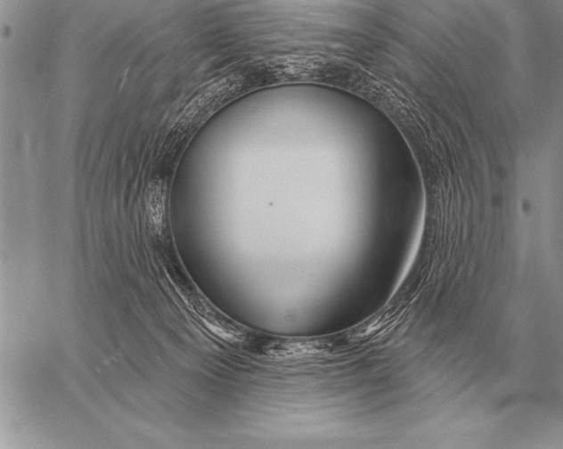 X0000058140129200510171412