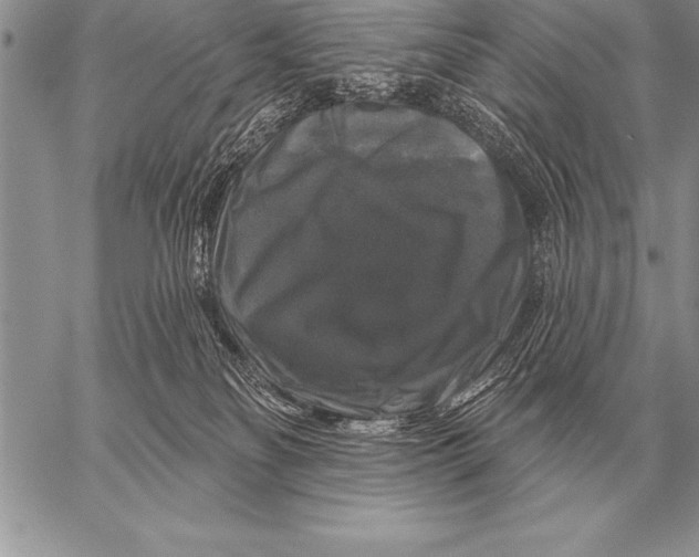 X0000058140134200510171412